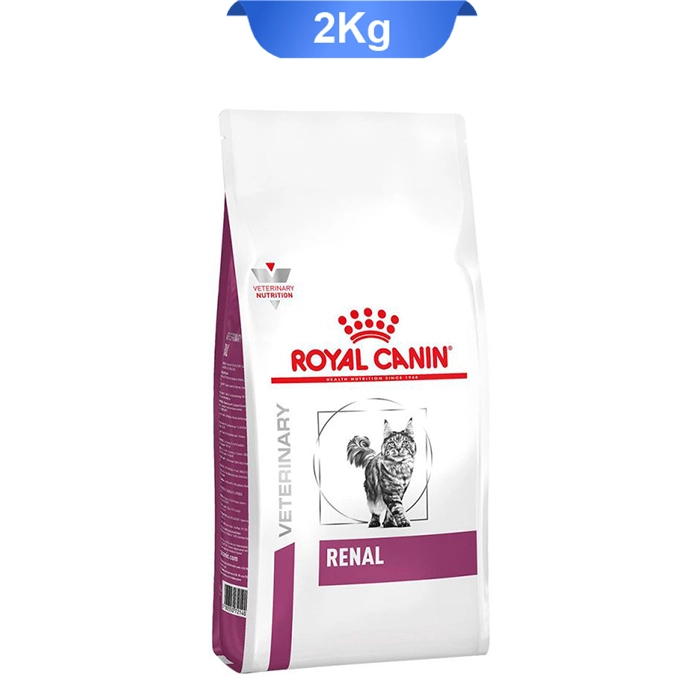 renal-1
